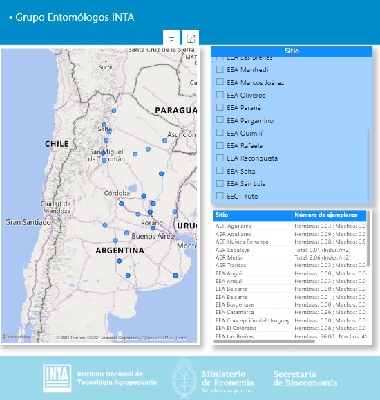 Argentina - Publican mapa nacional de la chicharrita del maíz - Image 2
