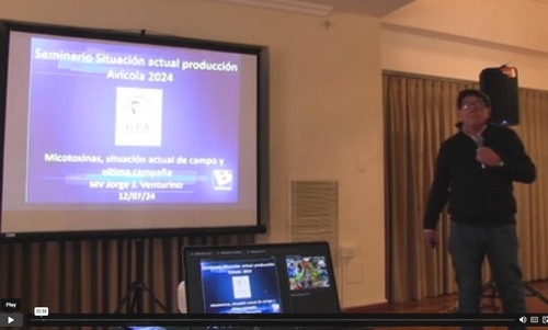 Argentina - Situación Nutricional de la Producción Avícola 2024 - Image 2