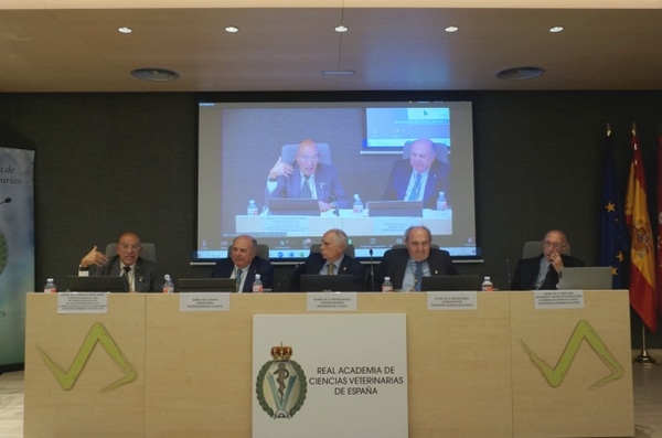España - La economía de la producción pecuaria y el bienestar animal, Conferencia de Buxadé Carbó - Image 3