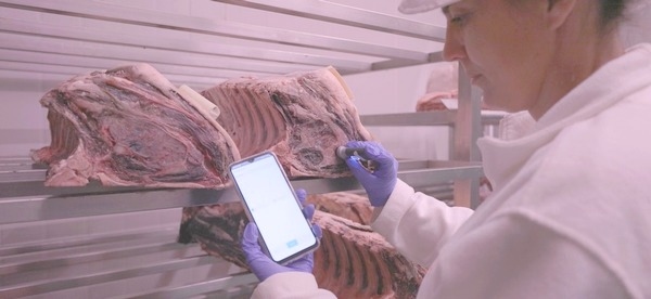 IRTA: Información y formación para una carne madurada segura y de calidad - Image 3