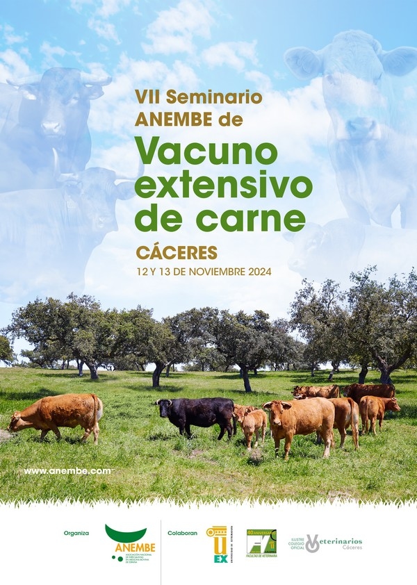España - Anembe VII Seminario de vacuno extensivo y carne 2024 - Image 1