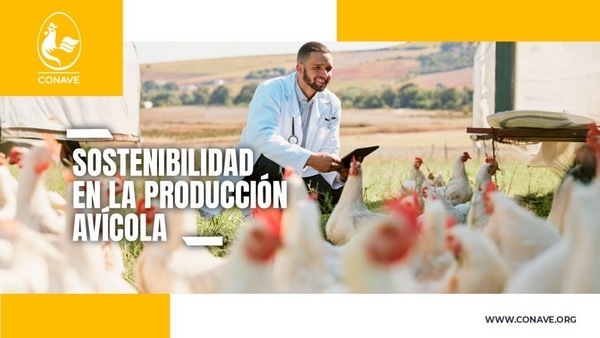 Ecuador - Sostenibilidad en la producción avícola - Image 1