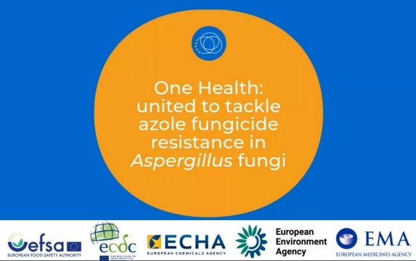UE - One Health: Resistencia a los fungicidas azólicos - Image 1