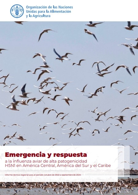 Influenza aviar de alta patogenicidad: Recomendaciones de la FAO ante la reaparición en América Latina y el Caribe - Image 1