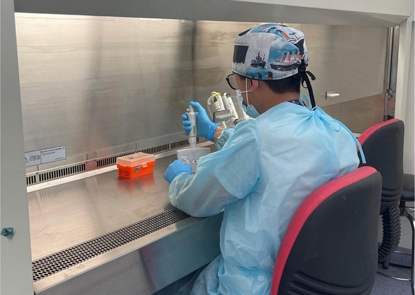 Colombia - Orégano, alternativa natural para atacar la salmonelosis aviar - Image 4
