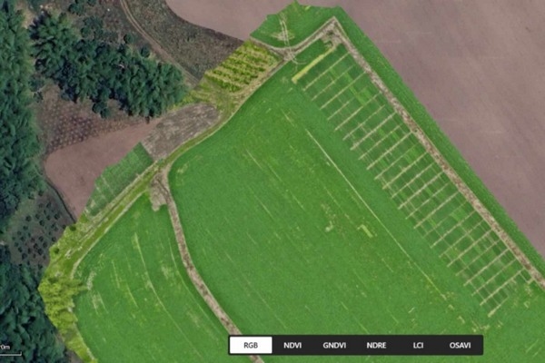 Colombia - Soya del futuro con inteligencia artificial y genética de precisión - Image 3
