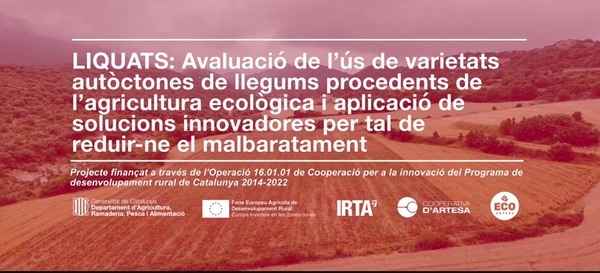 España - IRTA: Investigar las legumbres porque el clima está cambiando - Image 2