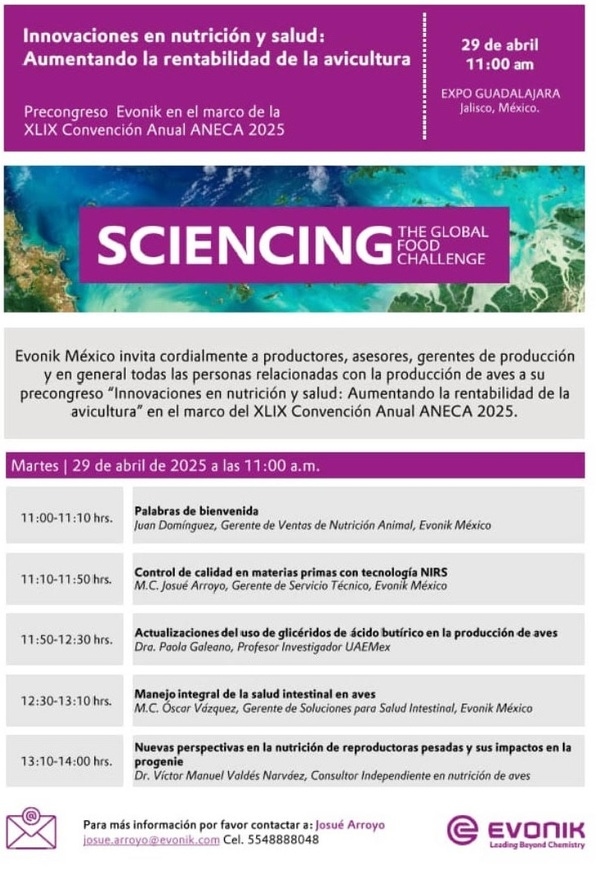 Evonik presentará innovaciones clave en nutrición y salud avícola durante el precongreso ANECA 2025 - Image 1