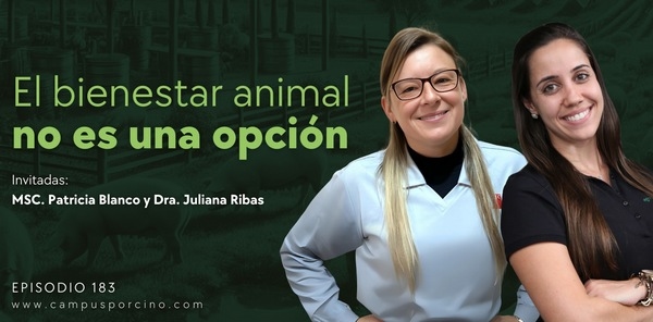 CerdoCast #183 - Bienestar animal: De la teoría a la práctica - Image 1