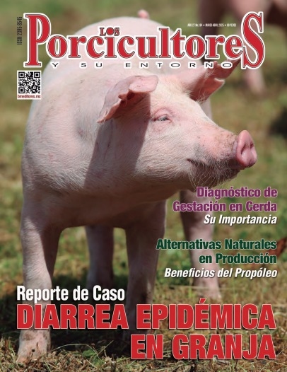 México - Nueva edición de 