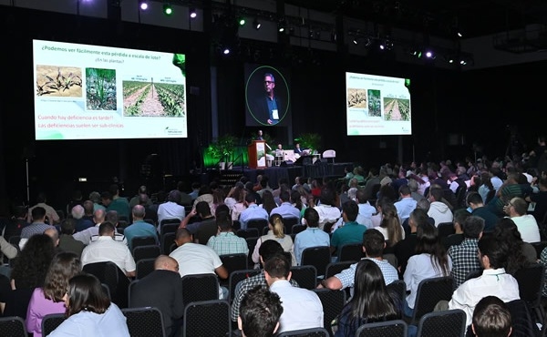 Argentina - Pérdida de 6 kilos de fósforo por año por hectárea producida - Image 5