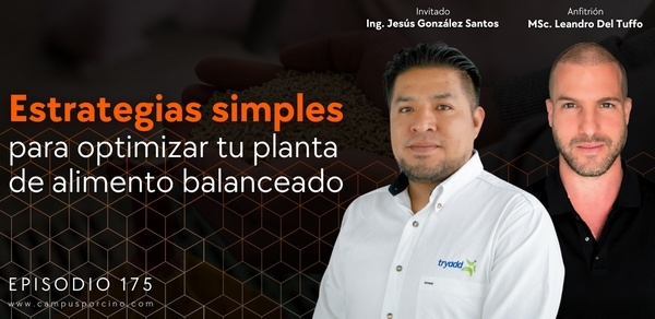 CerdoCast #175 - Estrategias simples para optimizar tu planta de alimento balanceado - Image 1