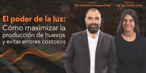 Avipodcast #58 - El poder de la luz - Image 1