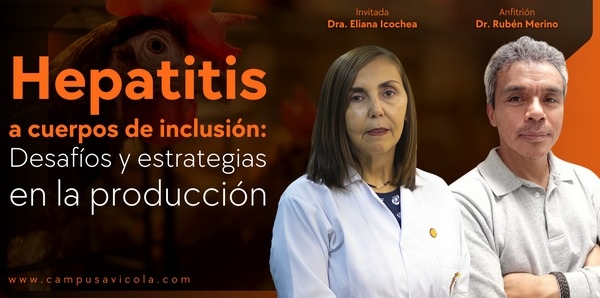 Avipodcast #61 - Hepatitis a cuerpos de inclusión: Desafíos y estrategias en la producción - Image 1