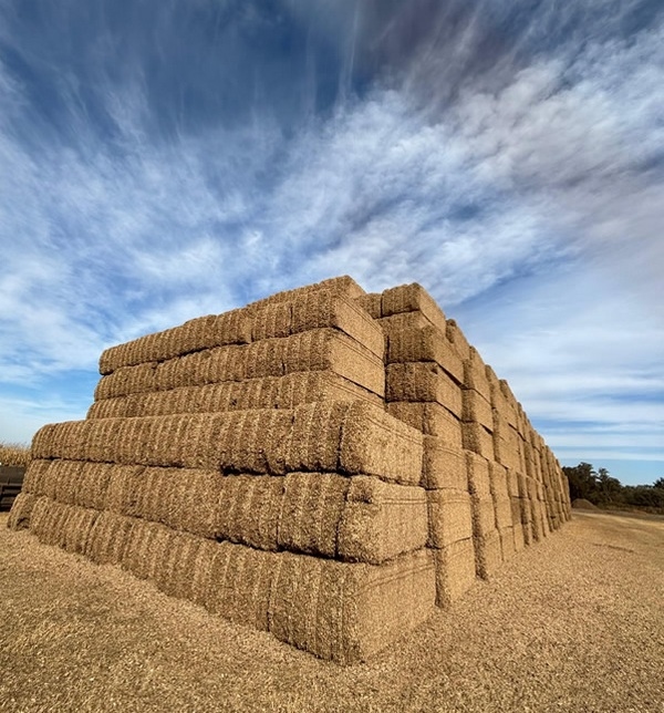 Argentina - De residuo a energía limpia: cómo una empresa resolvió una problemática ambiental - Image 1