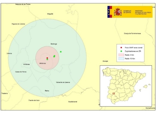 España pierde el estatus libre de influenza aviar - Image 1