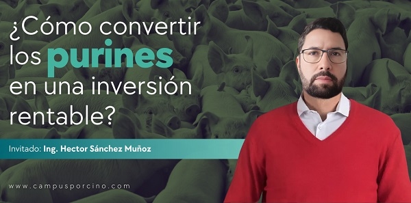 CerdoCast #188 - ¿Cómo convertir los purines en una inversión rentable? - Image 1