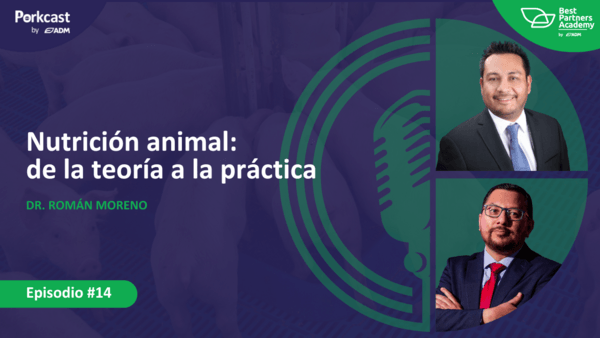 Nutrición animal: De la teoría a la práctica. PorkCast by ADM - Image 1