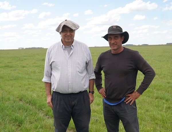 Argentina - Nutrir las pasturas para mejorar la productividad ganadera y la  calidad de la carne - Image 7