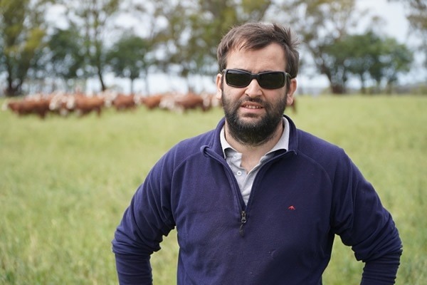 Argentina - Nutrir las pasturas para mejorar la productividad ganadera y la  calidad de la carne - Image 5