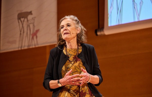España -  ICoMST 2025: Analizaron el futuro de la carne - Image 6