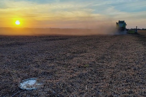 Argentina - Sistema de aire forzado reduce 54 % las pérdidas en la cosecha - Image 1