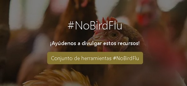 #NoBirdFlu – Stop a la gripe aviar: una comunicación clara para una mejor bioseguridad - Image 1