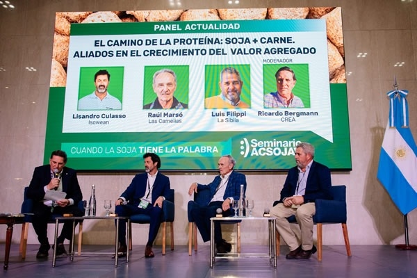 Argentina - El camino de la proteína: soja y carne, aliados en el crecimiento del valor agregado - Image 2