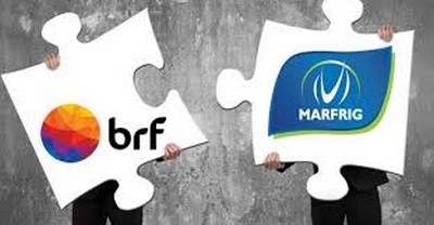 Surge MBRF: la fusión que consolida un gigante global de proteínas - Image 1