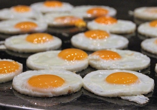 México se nutre con huevos en la celebración del día mundial del huevo 2025 - Image 1
