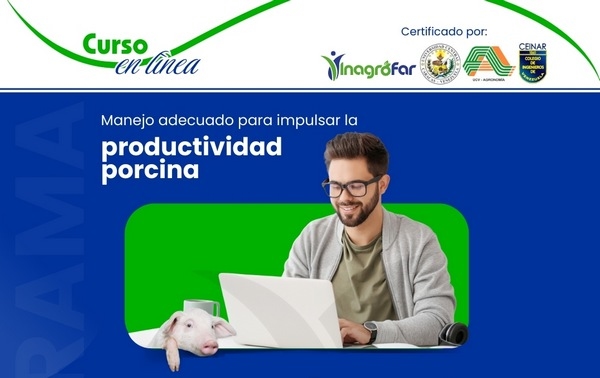 Manejo Adecuado para Impulsar la Productividad Porcina: Curso en Línea - Image 1