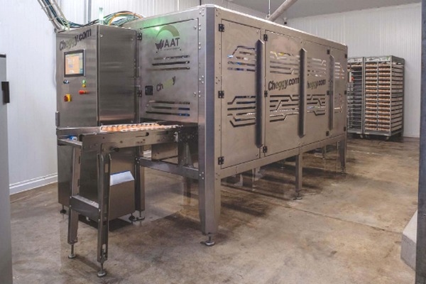 Brasil - La tecnología de sexado in ovo “Cheggy” se utiliza por primera vez - Image 1