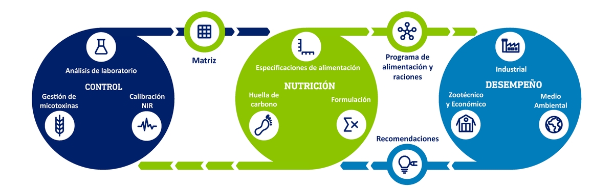 ADM lanza SINCRO para optimizar la crianza de animales de consumo - Image 1