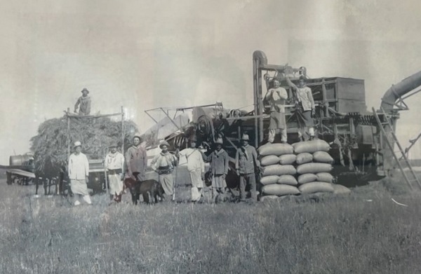 Argentina - Grupo Bolzán cumple 40 años: Del tambo a vender huevos - Image 1