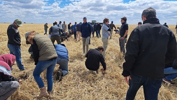Argentina - Biodiversidad como respuesta a los problemas de la agricultura - Image 1