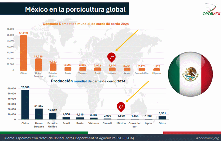 México busca fortalecer su porcicultura para alcanzar la autosuficiencia alimentaria - Image 1
