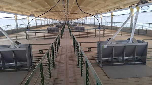 Argentina - Millonaria inversión para la producción porcina - Image 1