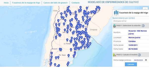 Argentina - Trigo: Herramientas de predicción para monitorear enfermedades - Image 3