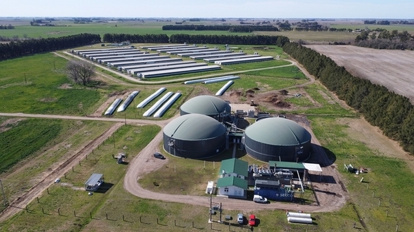 Pacuca transforma la producción porcina: un caso modelo de economía circular en Argentina - Image 1