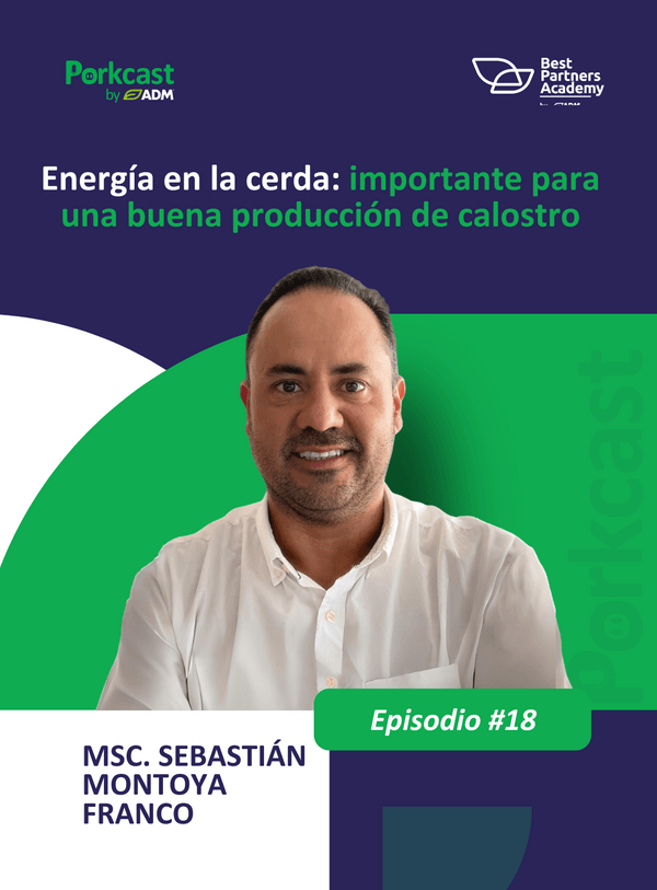 De la cerda al lechón: Nutrición y viabilidad neonatal - Image 1