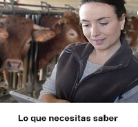 EE.UU. - USDA lanza un sitio web sobre el gusano barrenador del Nuevo Mundo - Image 3