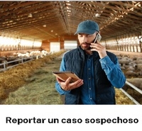 EE.UU. - USDA lanza un sitio web sobre el gusano barrenador del Nuevo Mundo - Image 4