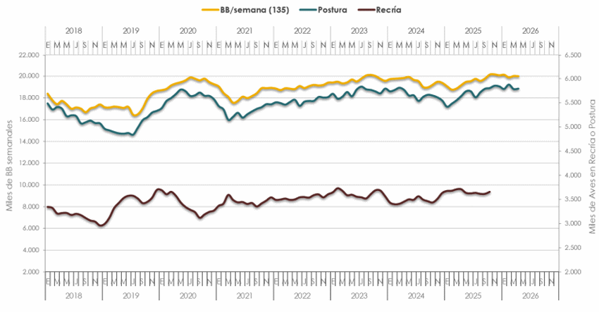 Argentina - Informe con estimaciones de Reproductoras Pesadas y Pollitos BB - Image 6