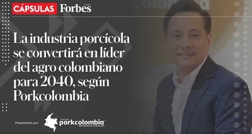 Colombia - La industria porcina apunta a ser líder del agro nacional en 2040 - Image 1