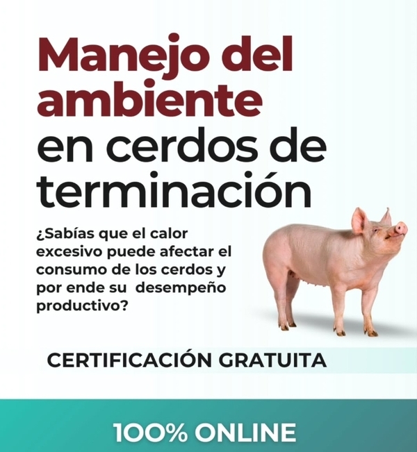 Cómo manejar el ambiente en granjas porcinas frente al estrés térmico del verano - Image 1