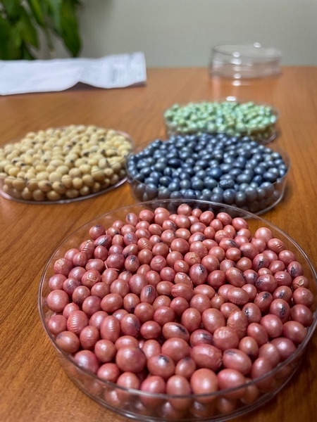 Coinoculación y tratamiento acelerado: los conceptos del año en biológicos - Image 2