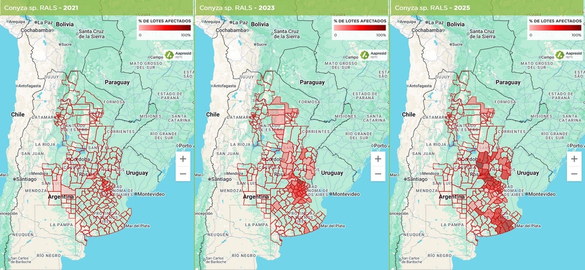 Argentina - Mapas de Malezas 2025: una foto cada vez más compleja - Image 7
