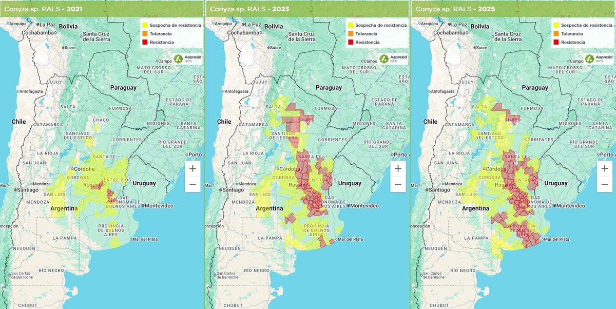 Argentina - Mapas de Malezas 2025: una foto cada vez más compleja - Image 3