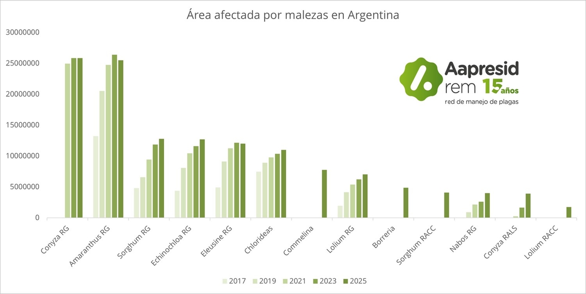 Argentina - Mapas de Malezas 2025: una foto cada vez más compleja - Image 5