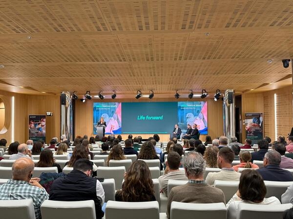 España - Analizan el avance de la influenza aviar - Image 1